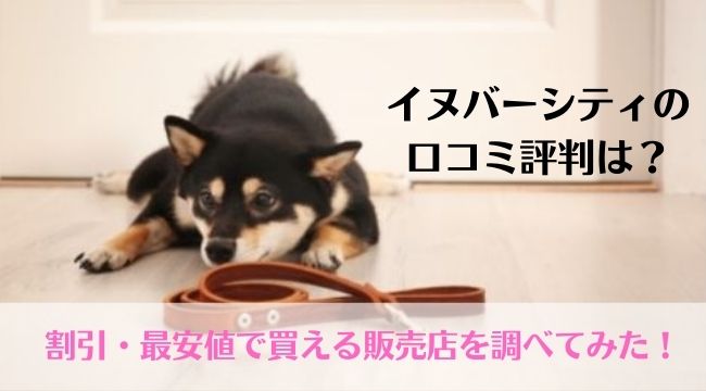 犬のしつけ教材イヌバーシティの口コミ評判は？割引・最安値で買える販売店を調べてみた！